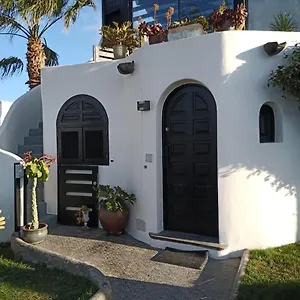 Alana Garden 1 Cotillo
